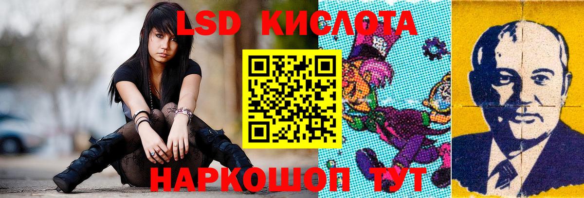 APVP Ярославль