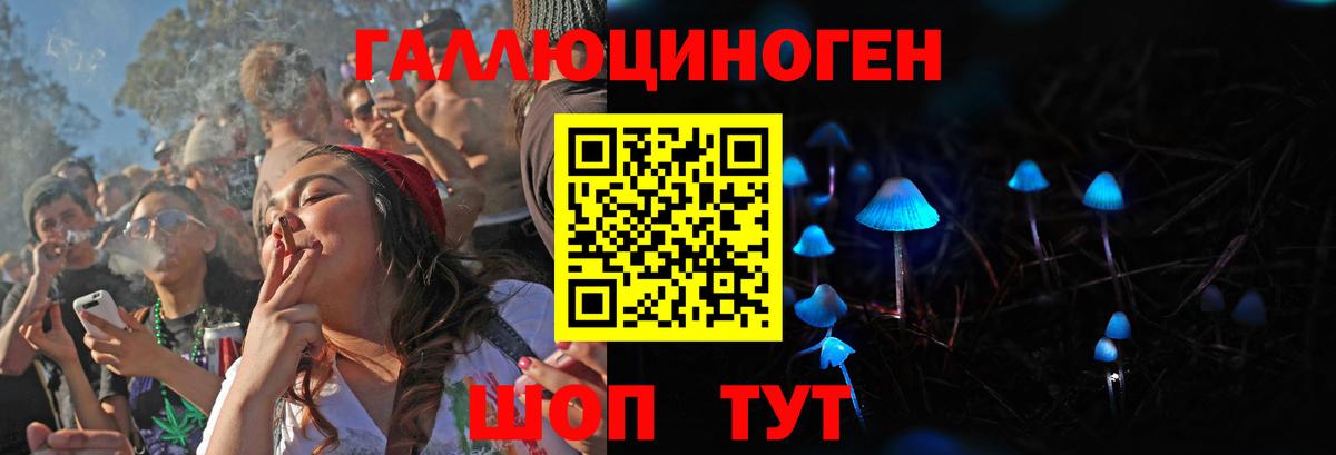 Галлюциногенные грибы мицелий  Вход с VPN  Ярославль  Псилоцибиновые грибы Cubensis 